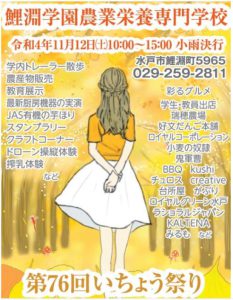 鯉淵学園　イチョウ祭り　学園祭　221112　ポスター